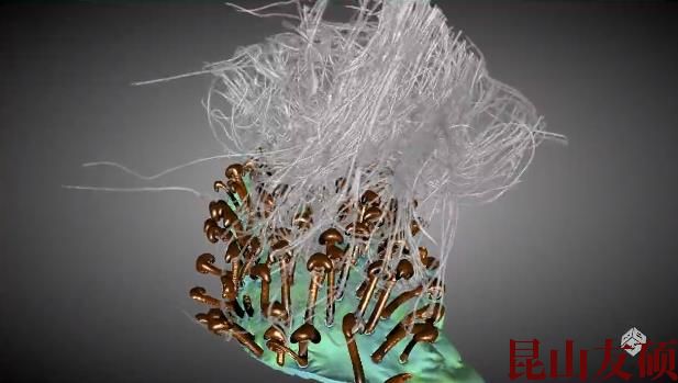 阿坝蔡司阿坝X射线显微镜